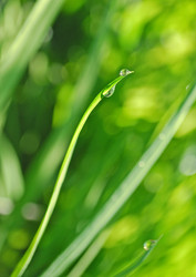 Similar image 396683