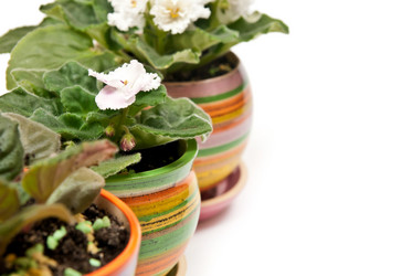 Similar image 396707