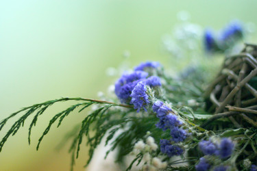 Similar image 396729