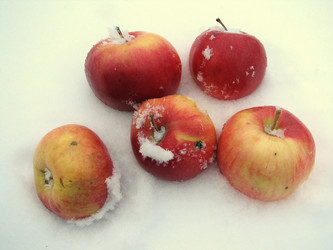 Similar image 396792