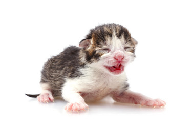 Similar image 396793