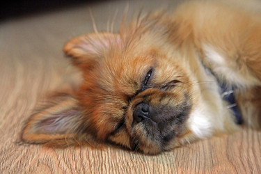 Similar image 396817