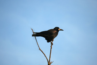 Similar image 396824