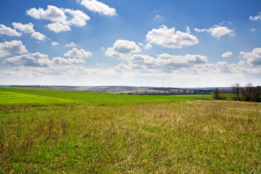 Similar image 396842