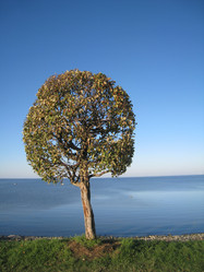 Similar image 396856