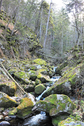 Similar image 396898