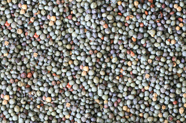 Similar image 396932