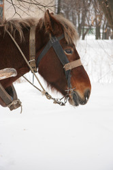 Similar image 396936