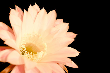 Similar image 396959