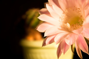 Similar image 396965