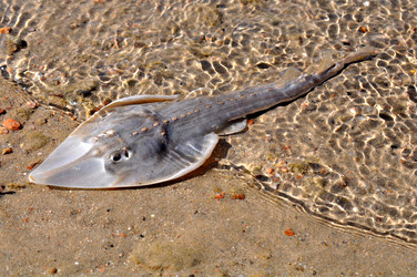 Similar image 396967