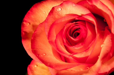 Similar image 396981