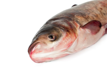 Similar image 396982