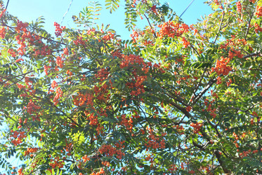 Similar image 397006