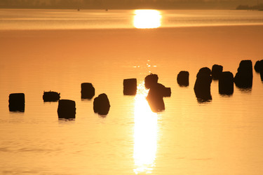 Similar image 397117