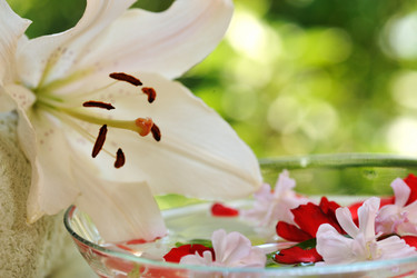 Similar image 397119