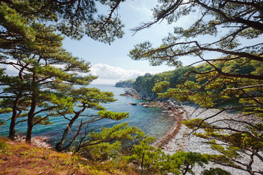 Similar image 397124