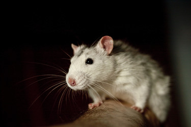 Similar image 397134