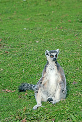 Similar image 397149