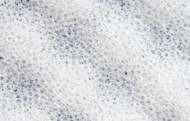 Similar image 397156