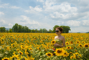 Similar image 397168