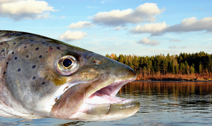 Similar image 397196