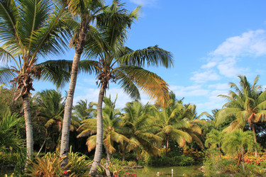 Similar image 397202