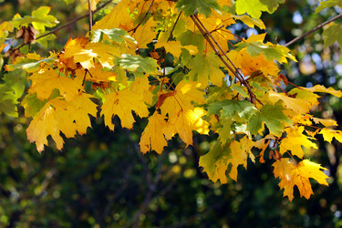 Similar image 397281