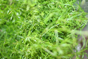 Similar image 397304