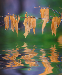 Similar image 397337