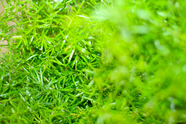 Similar image 397371