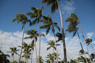 Similar image 397389