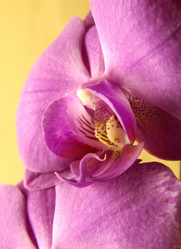 Similar image 397409