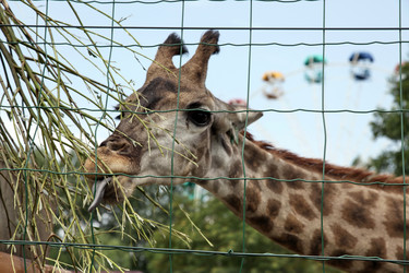 Similar image 397412