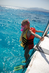 Similar image 397454