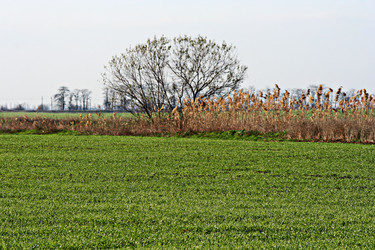 Similar image 397471