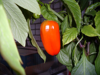 Similar image 397505