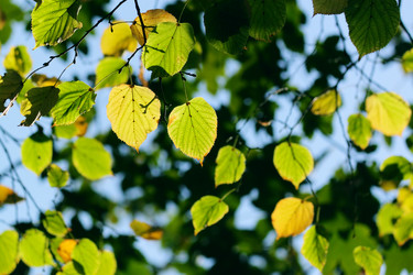 Similar image 397508