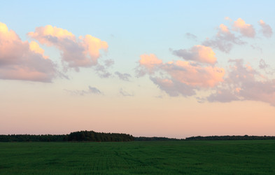 Similar image 397513