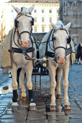 Similar image 397548