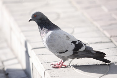 Similar image 397579