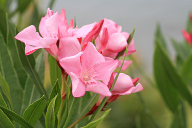 Similar image 397657