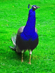 Similar image 397665