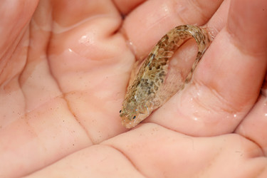 Similar image 397667