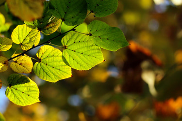 Similar image 397756