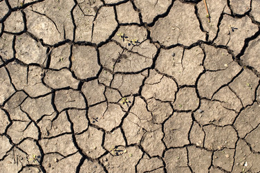 Similar image 397768