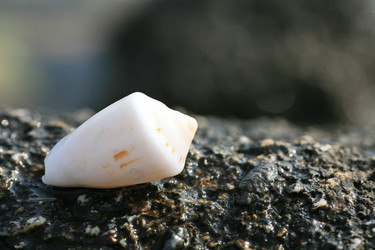 Similar image 397774