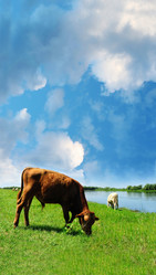 Similar image 397819