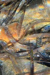 Similar image 397837