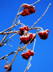 Similar image 397908